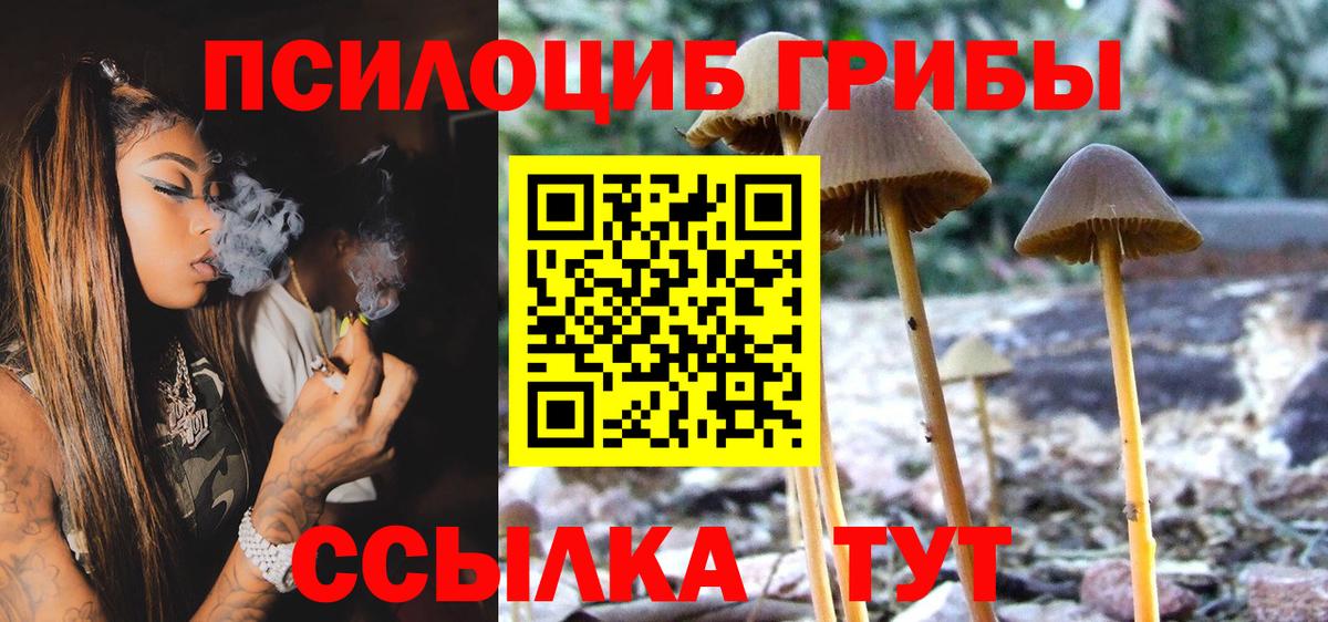 Псилоцибиновые грибы прущие грибы Аша