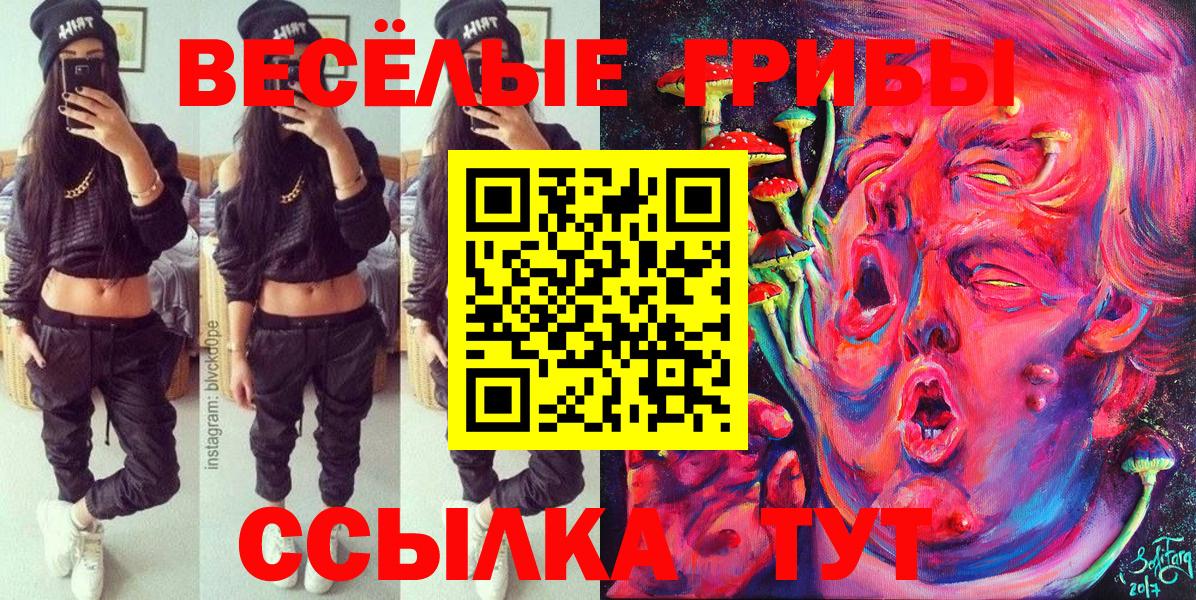 Аша  Псилоцибиновые грибы мицелий  закладка  Вход с VPN 